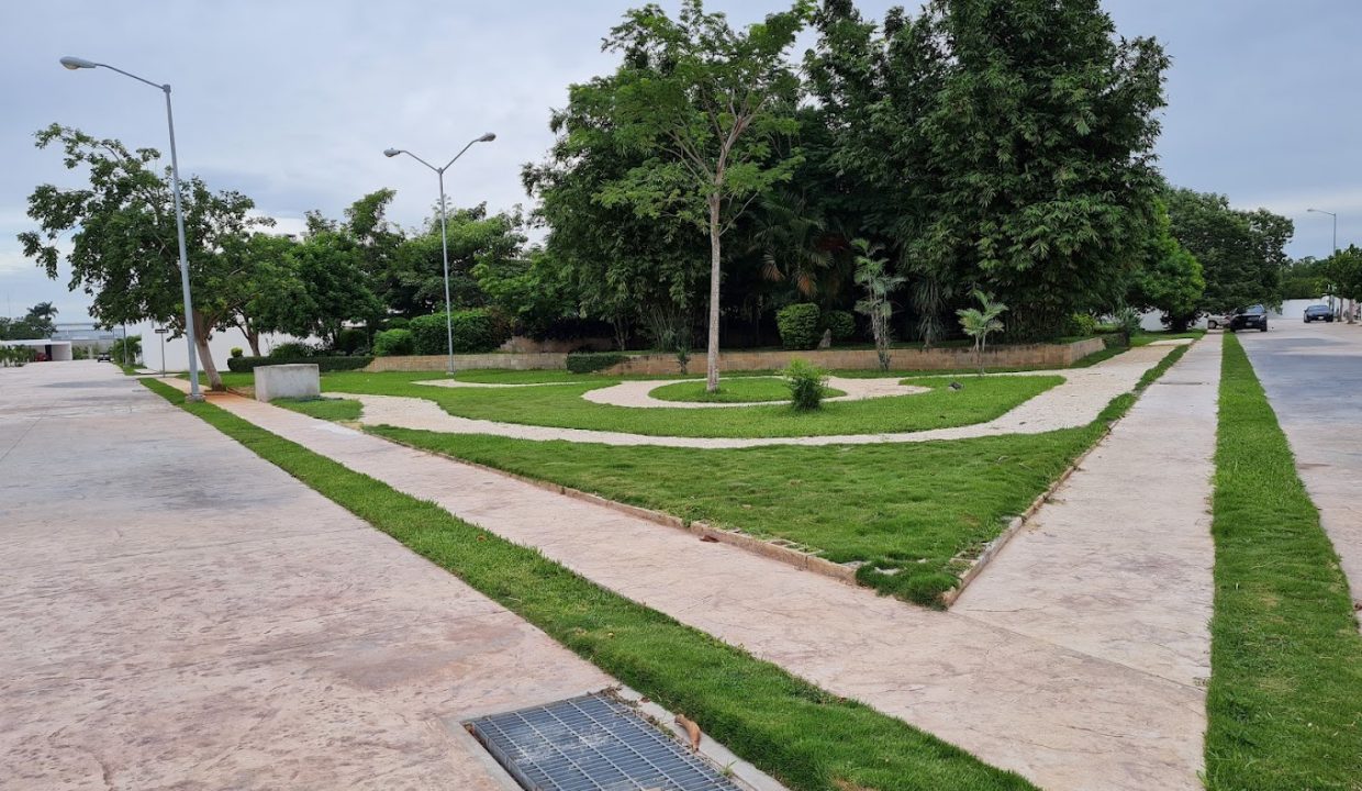 20220713_080753